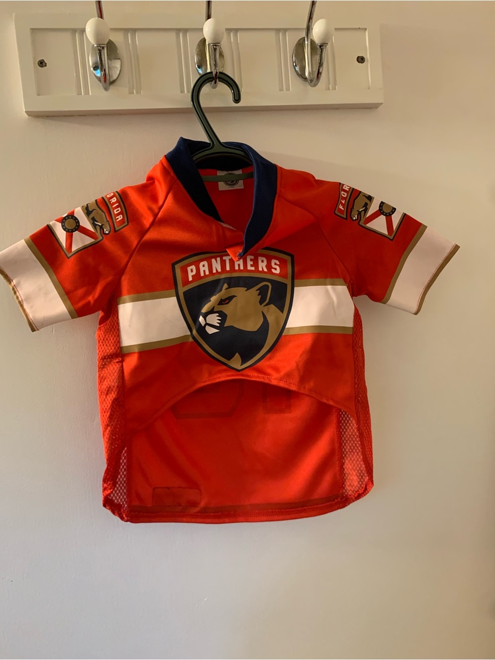 Dog Orange Florida Panthers Short-Sleeve Jersey
